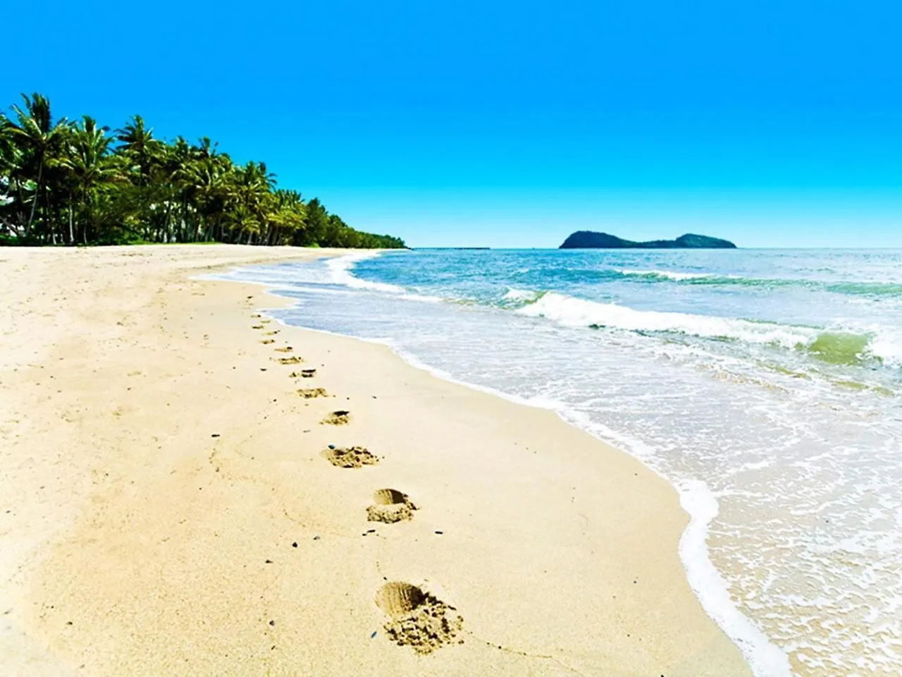 Temple 121 Modern Spacious Palm Cove 2 Brm 2 Bth Resort Apartment With Courtyard